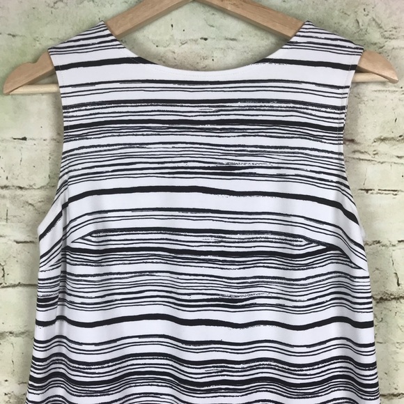 Ann Taylor Shift Dress Size 4P Stripe Black White - Picture 2 of 8